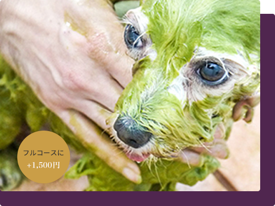 アニマルアーユルヴェーダ ハーブパック・ハーブスパ