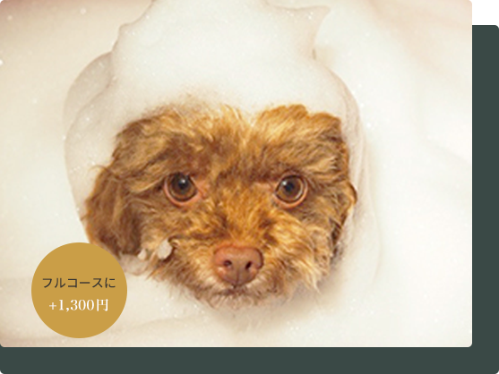 ホイップアロマバス